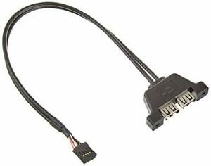 ASROCK Deskmini 2XUSB2.0 Cable