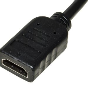 Link Adattatore Displayport Maschio - Hdmi Femmina 4Kx2K