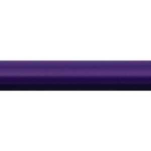 BIC 9641481 pastello colorato 24 pz