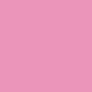 Canson Guarro Confezione da 25 Carte Iris da 185 g - 50x65 cm - Colore Bubble Gum Pink