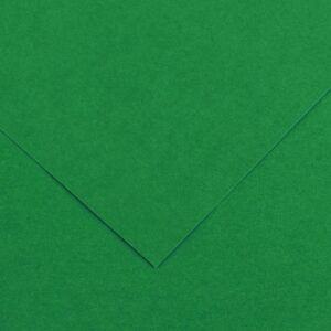 Canson Guarro Confezione da 25 Carte Iris da 185g - 50x65cm - Colore Verde Abete