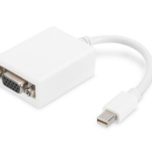 Cavo Adattatore Displayport Mini Dp/Maschio - Vga 15 Poli/Femmina Cm 15