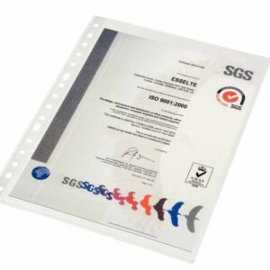 Custodia portadocumenti Esselte Folio - PP Qualità standard multiforo-16 - Borsa 10 - Trasparente