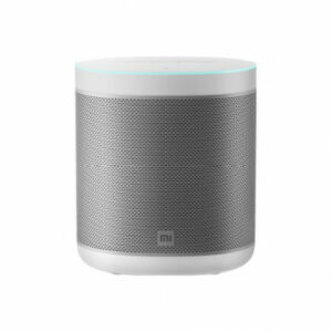 CASSA SMART BLUETOOTH XIAOMI QBH4190GL