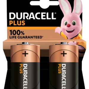 Duracell Plus 100 D B2 x10