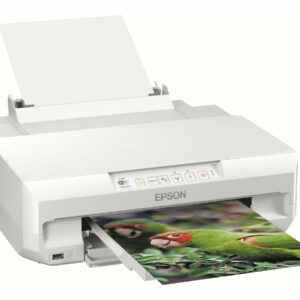 EPSON MULTIFUNZIONE INK-JET EXPRESSION PHOTO XP-55 A4 DUPLEX WIFI C11CD36402