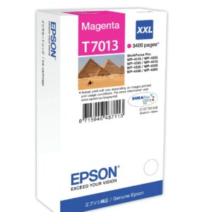 Epson Cart Ink Magenta Xxl Per Wf Pro 4515/4525, Serie Xxl Piramidi