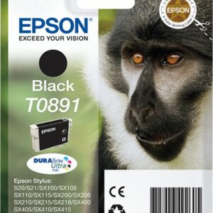 ORIGINALE Epson Cartuccia d'inchiostro nero C13T08914011 T0891 170 pagine 5,8ml