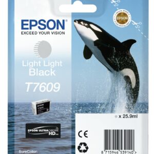 ORIGINALE Epson Cartuccia d'inchiostro lightlightblack C13T76094010 T7609 25,9ml UltraChrome HD