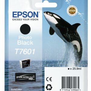 Epson Nero Photo T7601