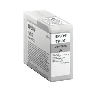 Epson Singlepack Light Black T850700