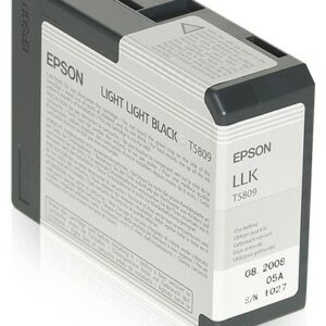 ORIGINALE Epson Cartuccia d'inchiostro lightlightblack C13T580900 T5809 80ml