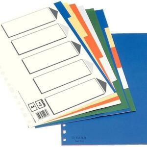 Esselte 613 Busta da 5 Divisori in Plastica - 5 Schede / 5 Colori - Multi-foro - Formato Folio