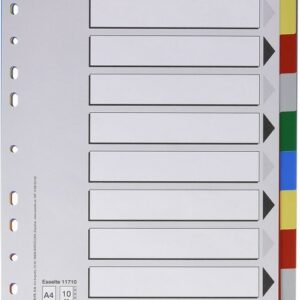 Esselte 713 Busta da 10 Divisori in Plastica - 10 Schede / 5 Colori - Multi-foro - Formato Folio