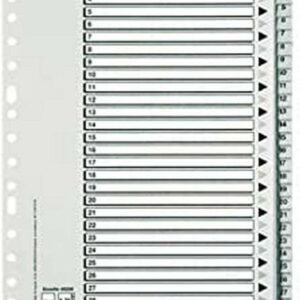 Esselte Busta da 25 Indici Numerici in Plastica - Schede da 1 a 31 - Multiforo - Formato A4 - Colore Grigio