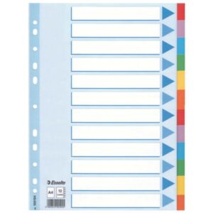 Esselte Multi-coloured Cardboard Dividers divisore 10 pz