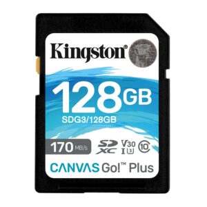 Kingston Technology Canvas Go! Plus 128 GB SD UHS-I Classe 10