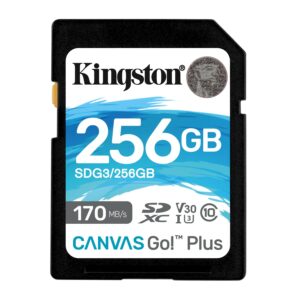 Kingston Technology Canvas Go! Plus 256 GB SD UHS-I Classe 10