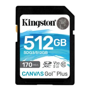 Kingston Technology Canvas Go! Plus 512 GB SD UHS-I Classe 10