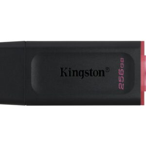 Kingston Pen Disk Usb 3.2 256Gb Datatraveler Exodia