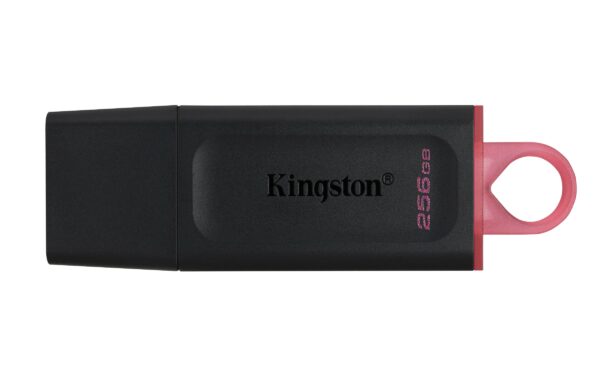 Kingston Technology DataTraveler Exodia unità flash USB 256 GB USB tipo A 3.2 Gen 1 (3.1 Gen 1) Nero