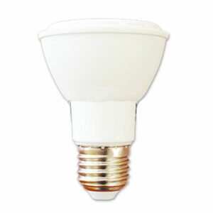 LED Bulb 12W PAR30 E27 6000K