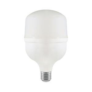 LED Bulb - 30W Plastic T100 6500K