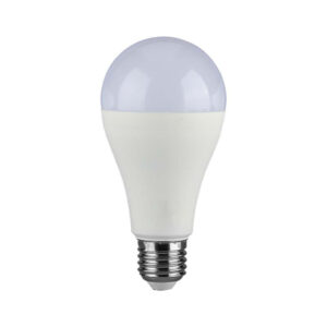 Lampadina LED E27 15W A65 6400K