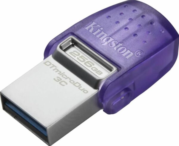 MEMORIA USB 256GB 3.2 KINGSTON DTDUO3CG3/256GB