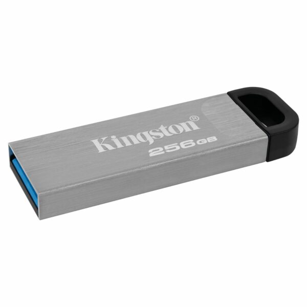 MEMORIA USB 256GB 3.2 KINGSTON DTKN/256GB