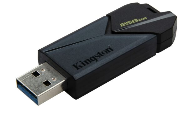 MEMORIA USB 256GB 3.2 KINGSTON DTXON/256GB