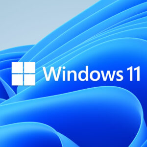 MICROSOFT WINDOWS 11 PROFESSIONAL 64BIT DSP 1PK ITALIANO OEM ONLY STICKER