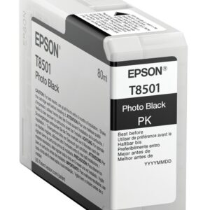 ORIGINALE Epson Cartuccia d'inchiostro Nero (Foto) C13T850100 T8501 80ml