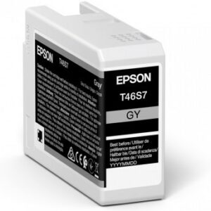 ORIGINALE Epson Cartuccia d'inchiostro Grigio C13T46S700 T46S7 25ml