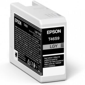 ORIGINALE Epson Cartuccia d'inchiostro grigio (chiaro) C13T46S900 T46S9 25ml