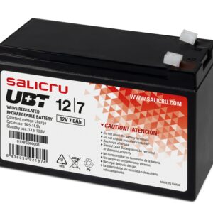 Salicru 013BS000001 batteria UPS Acido piombo (VRLA) 12 V 7 Ah