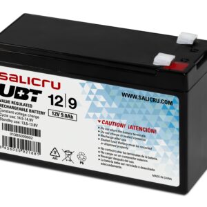 Salicru 013BS000002 batteria UPS Acido piombo (VRLA) 12 V 9 Ah