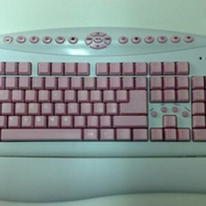 TASTIERA USB PINK PASSION USB SK-308M