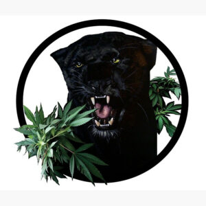 Fiori di CDB - Black Panther - 2gr