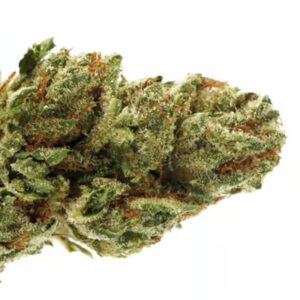 Fiori di CDB - Green Widow Erba TheGridy - 2gr -